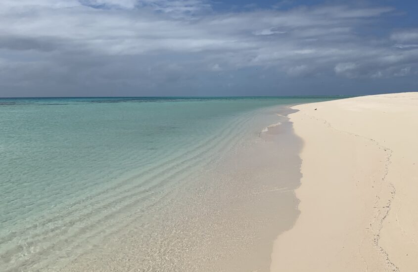 Michaelmas Cay