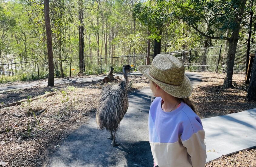 Walkabout Creek Discovery Centre, The Gap